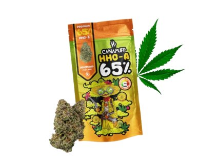 glnd hhca 720 removebg preview