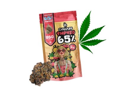 gsc thp420 720 removebg preview