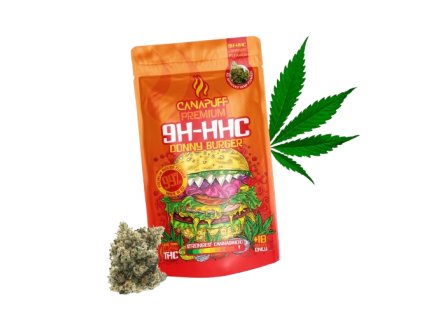 donny burger removebg preview