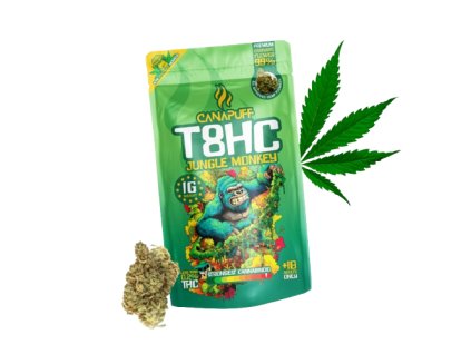 jungle monkey en 720 removebg preview