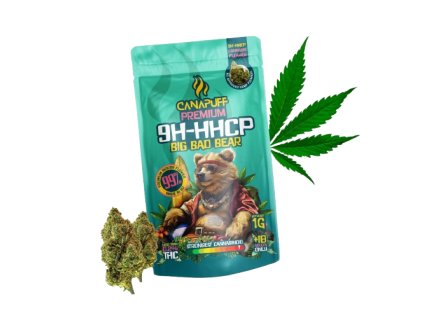 big bad bear removebg preview