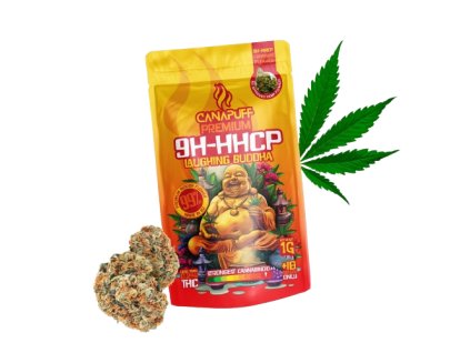 laughing buddha removebg preview