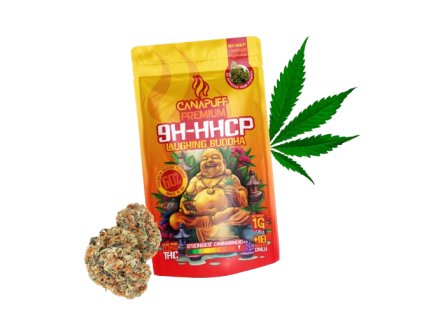 laughingbuddha 9h hhcp 720 removebg preview