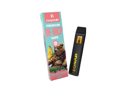 big bad bear removebg preview