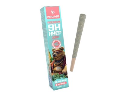 big bad bear removebg preview