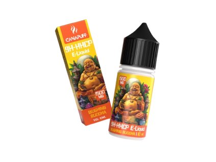 laughing buddha removebg preview