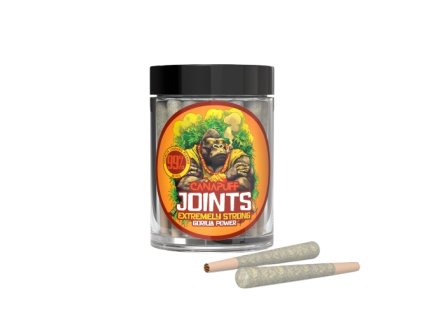 Gorilla Power 2 Camera removebg preview