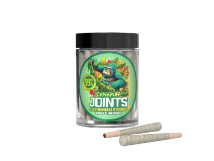 Jungle Monkey 2 Camera removebg preview