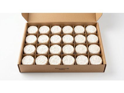 plesnivec nebaleny 80g 24ks karton