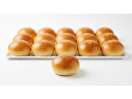 hamburgerova zemla maslova 36x100g