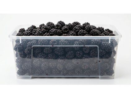 cernice 2 5kg