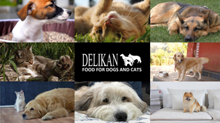 Delikan Supra Presentation