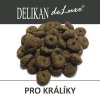 DELIKAN deLuxe - rabbit