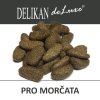 DELIKAN deLuxe - morče