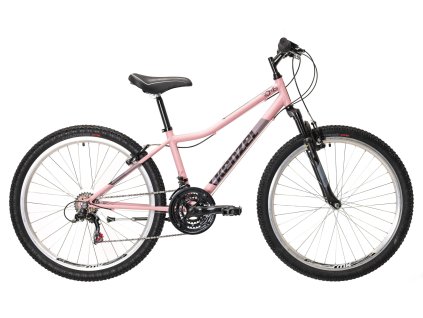 Roxis 27 753 1177 Hellrosa 2023 scaled