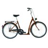 SIT N GO ceremony 1spd 511 1493 brown
