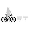 geometria mtb women