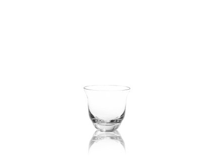 3178 shadows drinking glass in cloudless clear set of 2