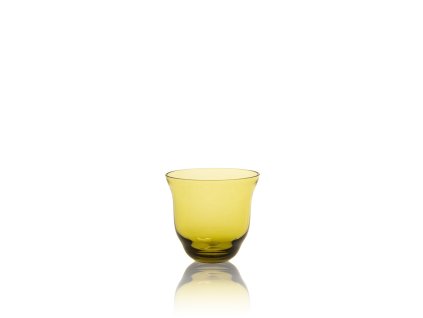 3181 shadows drinking glass in bonsai green set of 2