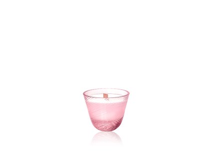 5988 small candle linea bittersweet symphony