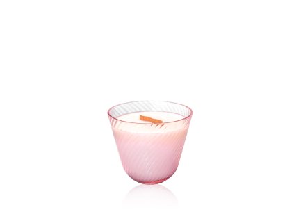 6003 candle linea bittersweet symphony