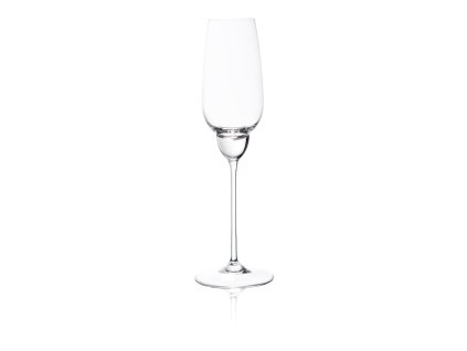 6237 1 shadows champagne glass in cloudless clear set of 2