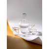 3103 2 shadows golden lux drinking glass set of 2