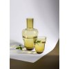 3208 1 shadows carafe in bonsai green