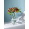3214 1 shadows vase in cloudless clear