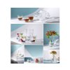 3214 2 shadows vase in cloudless clear