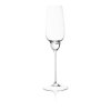 6237 1 shadows champagne glass in cloudless clear set of 2