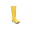 EUROFORT S5 SRC holina