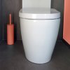 Štětku AKIRA lze sladit do barvy WC