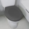 WC prkénko Spirella v matné šedé barvě