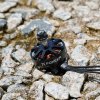 13381 1 motor foxeer black hornet 2806 5 1350kv