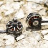 13381 2 motor foxeer black hornet 2806 5 1350kv