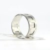 16599 nickel plated steel belt punching nickel stripe