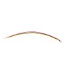 FN Y0046 6