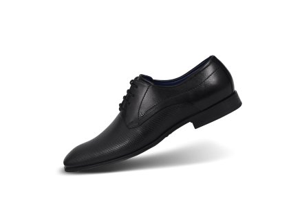 311 66606 1000 1000 main