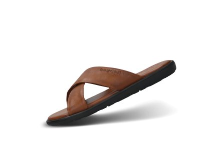 331 ax281 4100 6300 main