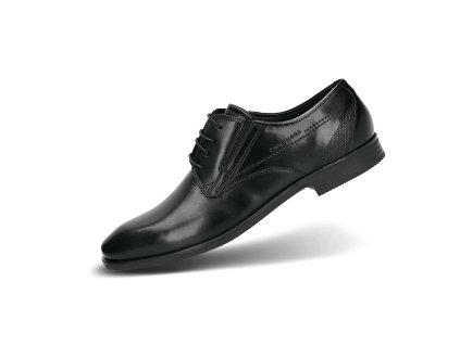 311 19608 1000 1000 main