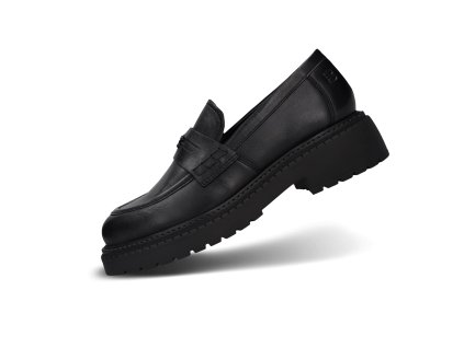 Diona D31-AUK60-4000-1000 (Sortiment 1 ks)