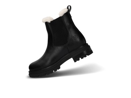 Palooza D31-AYB50-5000-1000 (Sortiment 1 ks)