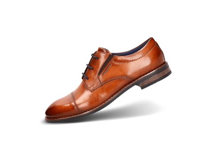 311 ao501 1000 6300 main