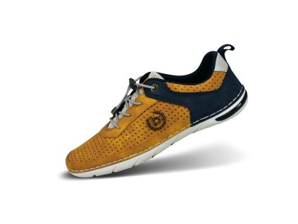 321 ASG03 5050 5041 main