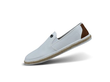 321 ASP61 5000 2000 main