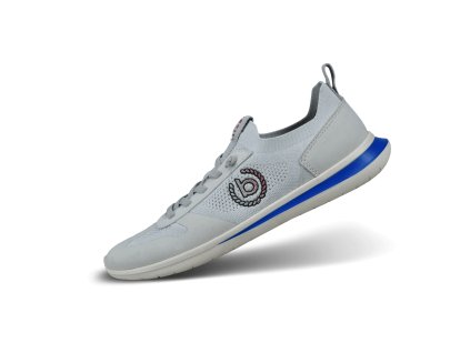 321 AWO61 5500 2000 main