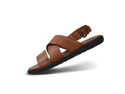 331 AX280 4100 6300 main