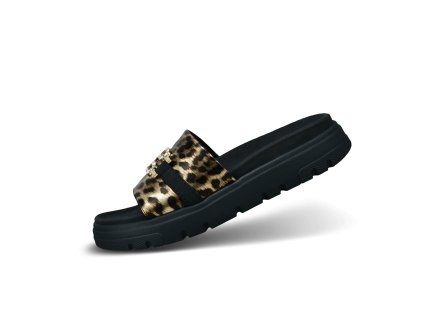 D31 AK79A 5955 8210 main