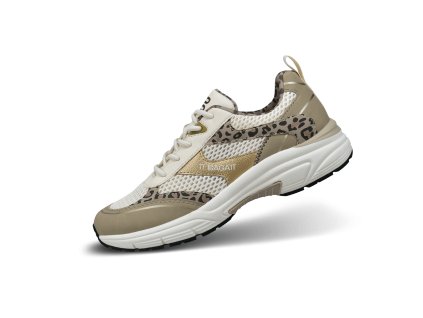 D31 AVV01 5569 5382 main